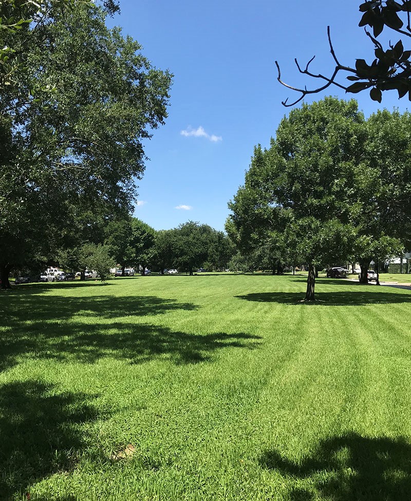 Houston’s Best Parks for Pickup Sports Games The Buzz Magazines